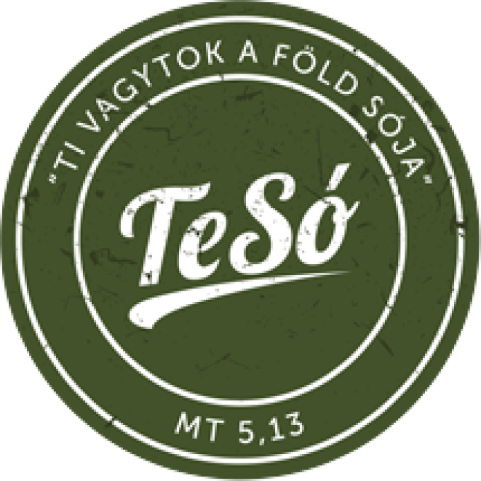 TeSó blog