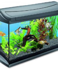 Bereg Aquarium – Ivándel Mihály vállalkozása