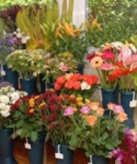 Virágüzlet