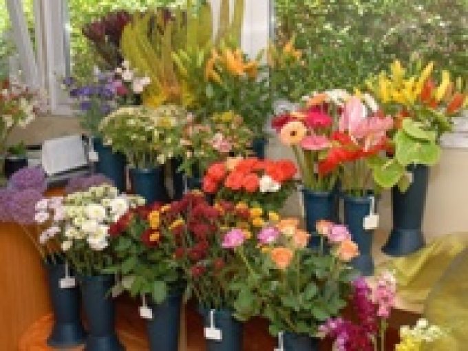 Virágüzlet